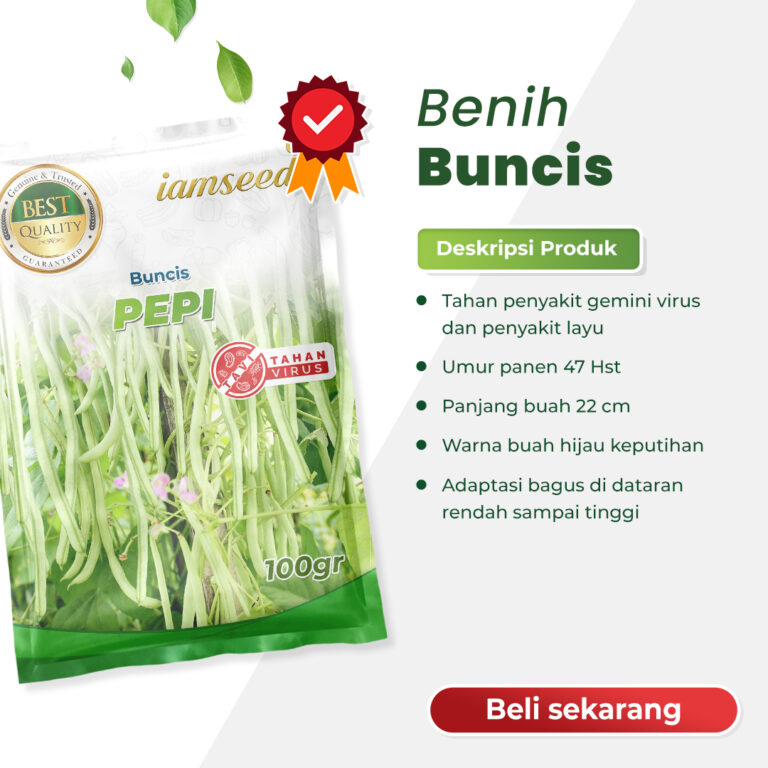 Pepi 100gr | Buncis - PT. Indoseed Agri Makmur
