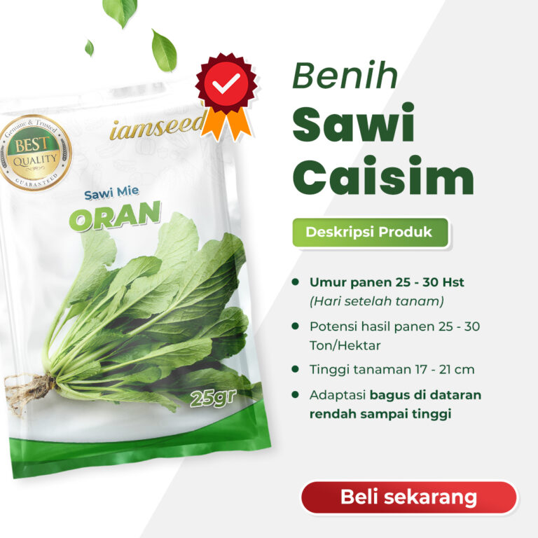 Oran 25gr | Sawi mie caisim - PT. Indoseed Agri Makmur