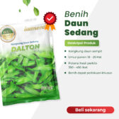 Dalton 100gr | Kangkung daun sedang - PT. Indoseed Agri Makmur