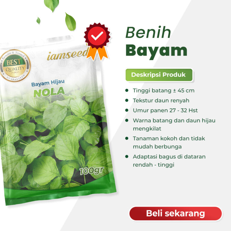 Nola 100gr | Bayam Hijau - PT. Indoseed Agri Makmur
