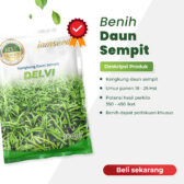Delvi 100gr | Kangkung daun sempit - PT. Indoseed Agri Makmur