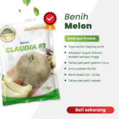 Claudia F1 20gr | Melon daging putih tebel - PT. Indoseed Agri Makmur