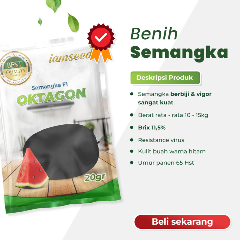 Oktagon 20gr | Semangka oblong kulit hitam berbiji - PT. Indoseed Agri Makmur