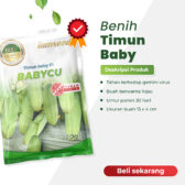 Babycu F1 20gr | Timun baby - PT. Indoseed Agri Makmur