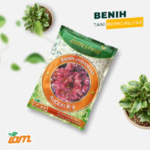 Alice F1 10g | Selada merah - PT. Indoseed Agri Makmur