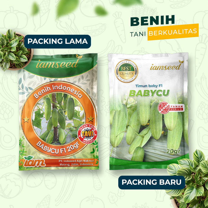Babycu F1 20gr | Timun baby - PT. Indoseed Agri Makmur
