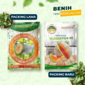 Gladiator F1 20gr | Melon orange type glamour - PT. Indoseed Agri Makmur
