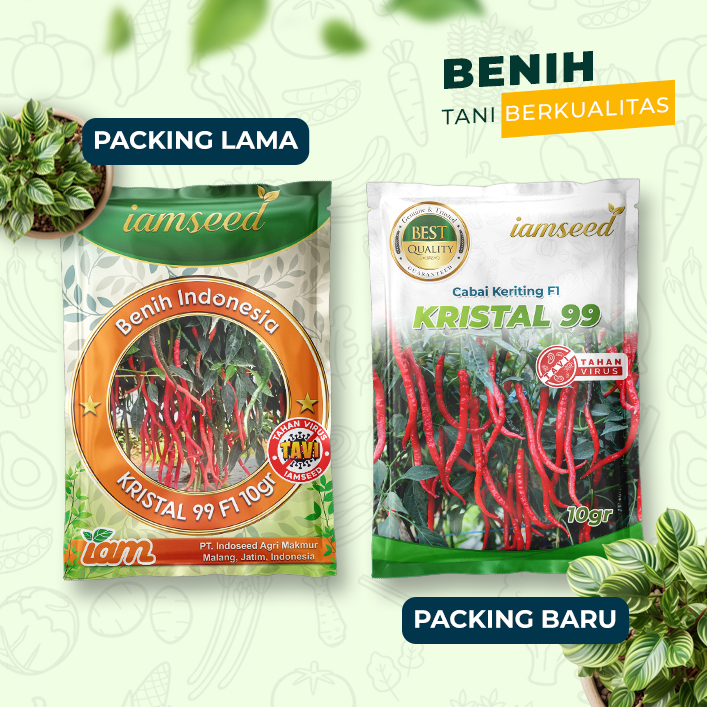 Kristal 99 F1 10gr | Cabai keriting - PT. Indoseed Agri Makmur