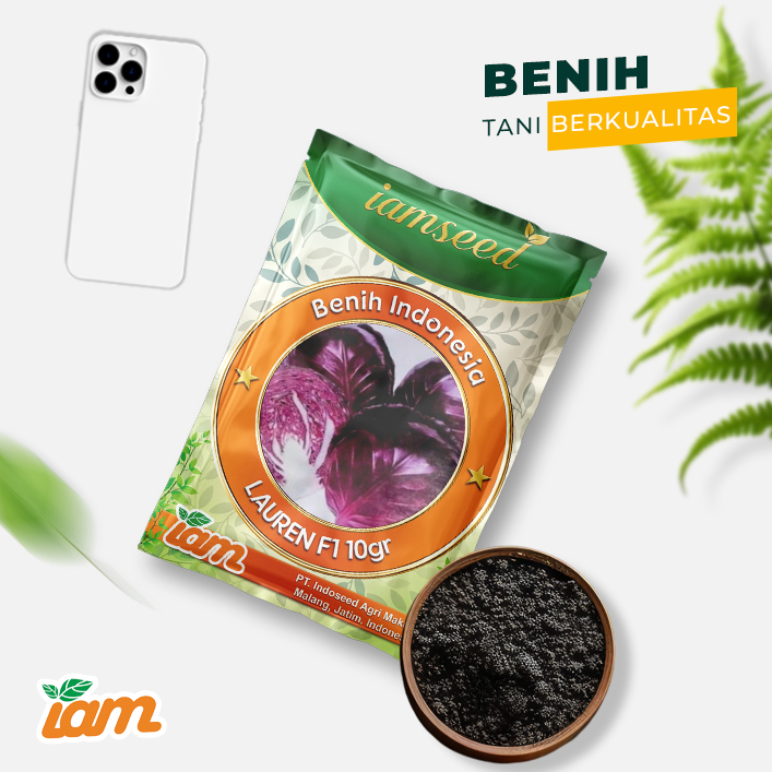 Lauren F1 10gr | Kubis merah - PT. Indoseed Agri Makmur