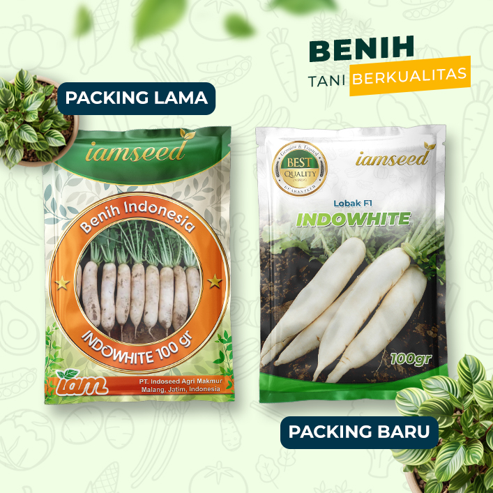 Indowhite 10gr | Lobak - PT. Indoseed Agri Makmur