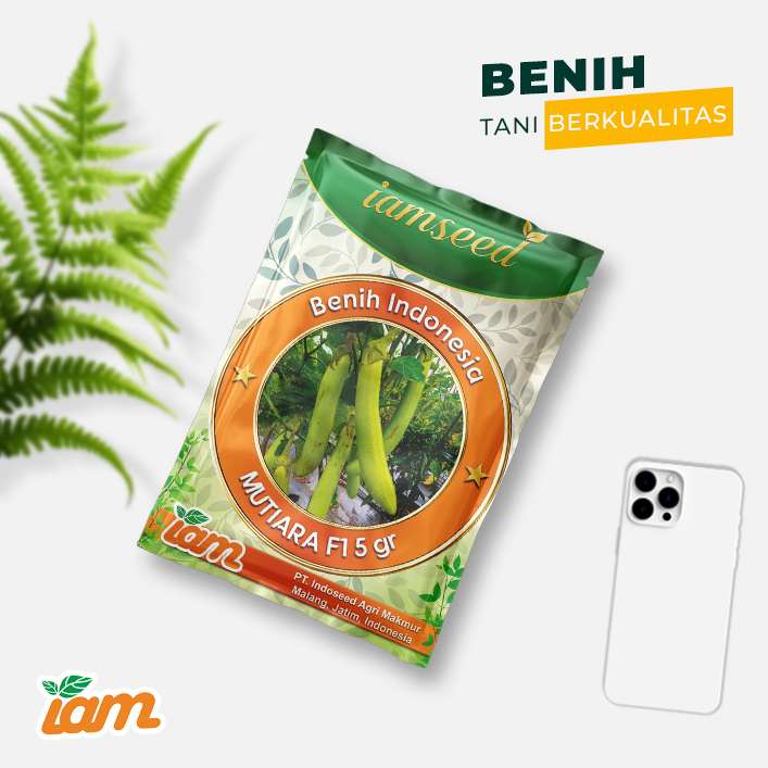 Mutiara F1 5gr | Terong hijau - PT. Indoseed Agri Makmur