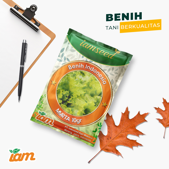 Myrta 10gr | Selada - PT. Indoseed Agri Makmur