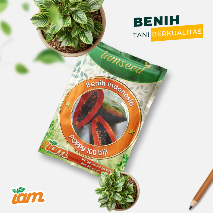 Poppy 100biji | Pepaya thailand - PT. Indoseed Agri Makmur