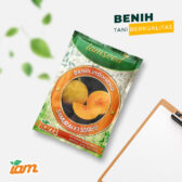 Samurai F1 550biji | Melon orange - PT. Indoseed Agri Makmur