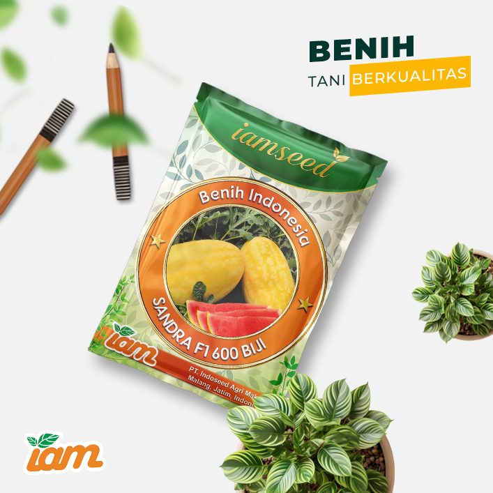 Sandra F1 600 biji | Semangka kuning dalam merah - PT. Indoseed Agri Makmur