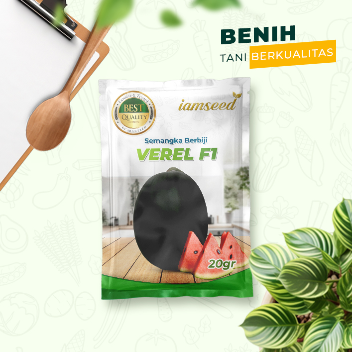 Verel F1 20gr | Semangka berbiji oval kulit hitam daging merah - PT. Indoseed Agri Makmur