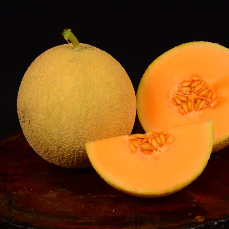 Samurai F1 550biji | Melon orange - PT. Indoseed Agri Makmur