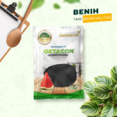 Oktagon 20gr | Semangka oblong kulit hitam berbiji - PT. Indoseed Agri Makmur