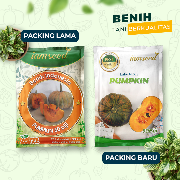 Pumpkin 50 biji | Labu hijau - PT. Indoseed Agri Makmur