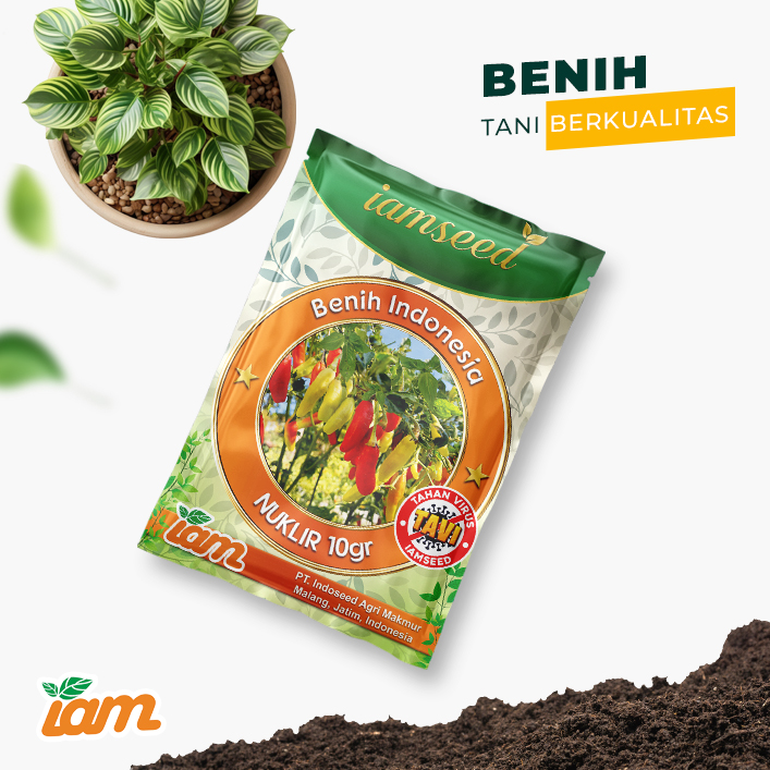 Nuklir 10gr | Cabai rawit frutescens - PT. Indoseed Agri Makmur