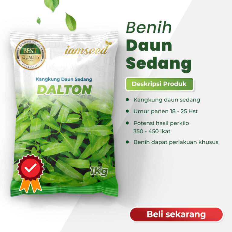 Dalton 1Kg | Kangkung daun lebar - PT. Indoseed Agri Makmur