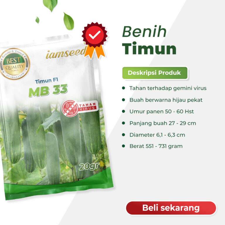 MB33 F1 20gr | Timun - PT. Indoseed Agri Makmur