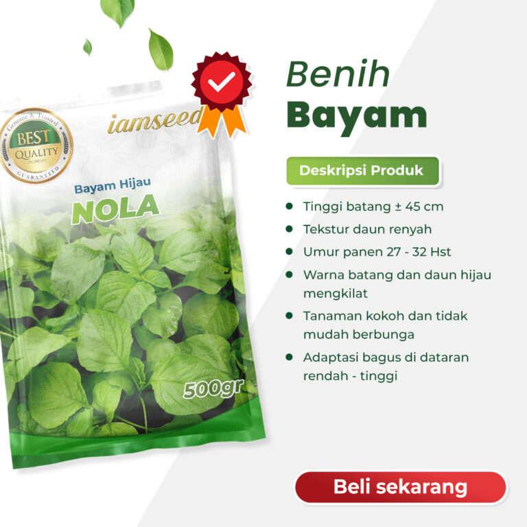 Nola 500gr | Bayam Hijau - PT. Indoseed Agri Makmur