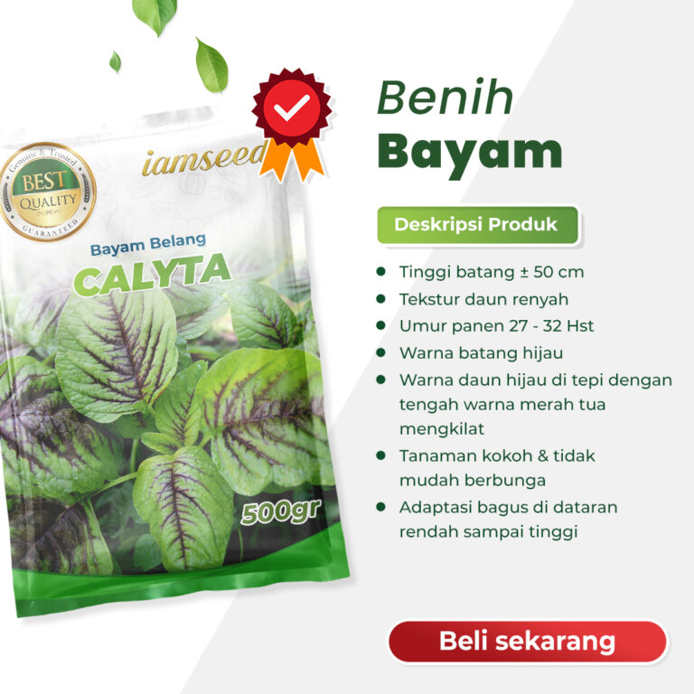 Calyta 500gr | Bayam hijau tengah merah - PT. Indoseed Agri Makmur