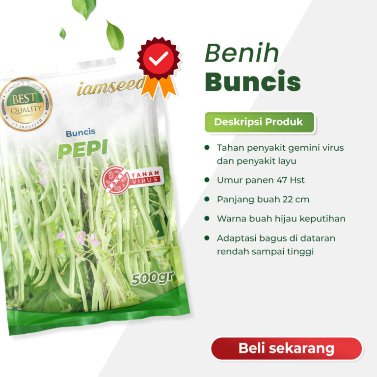 Pepi 500gr | Buncis - PT. Indoseed Agri Makmur