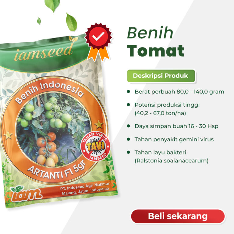 Artanti F1 5gr | Tomat dataran tinggi - PT. Indoseed Agri Makmur