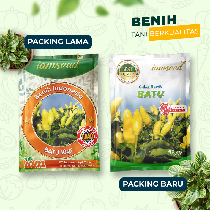 Batu 10gr | Cabai rawit - PT. Indoseed Agri Makmur
