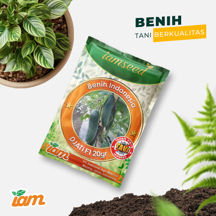 Djati F1 20gr | Timun - PT. Indoseed Agri Makmur