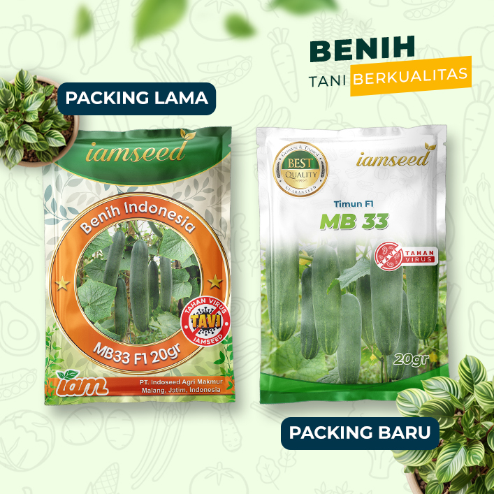 MB33 F1 20gr | Timun - PT. Indoseed Agri Makmur
