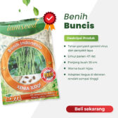 Xenia 100gr | Buncis - PT. Indoseed Agri Makmur