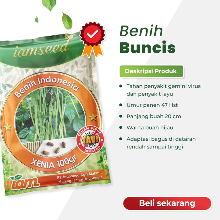 Xenia 100gr | Buncis - PT. Indoseed Agri Makmur