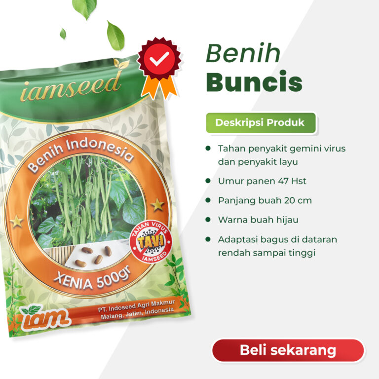Xenia 500gr | Buncis - PT. Indoseed Agri Makmur