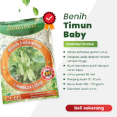 Lambo F1 20gr | Timun baby - PT. Indoseed Agri Makmur