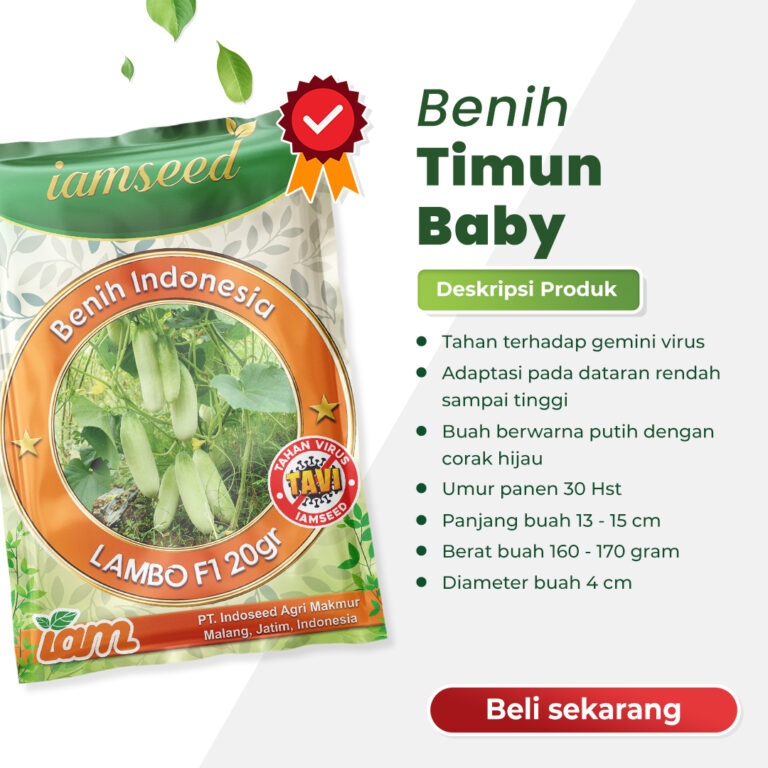 Lambo F1 20gr | Timun baby - PT. Indoseed Agri Makmur
