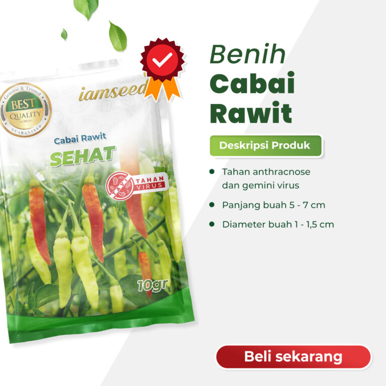 Sehat F1 10gr | Cabai rawit frutescenes - PT. Indoseed Agri Makmur