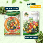 Byd F1 5gr | Tomat buah - PT. Indoseed Agri Makmur