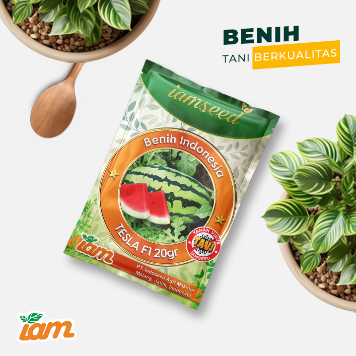 Tesla F1 20gr | Semangka kulit lurik berbiji - PT. Indoseed Agri Makmur