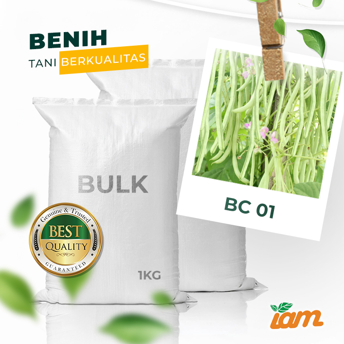 BULK 1kg – buncis OP (BC 01) - PT. Indoseed Agri Makmur