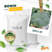 BULK 1kg – brokoli F1 (BRU 01) - PT. Indoseed Agri Makmur