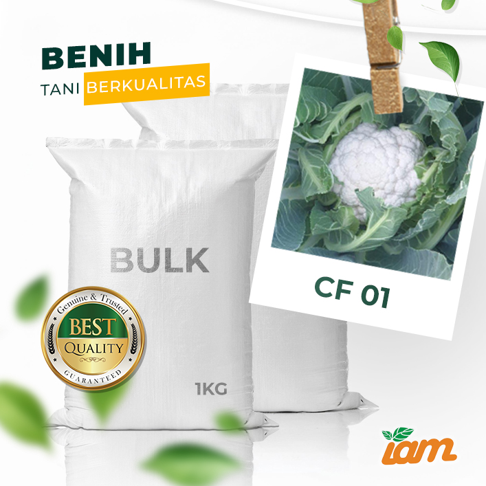 BULK 1kg – bunga kol F1 (CF 01) - PT. Indoseed Agri Makmur