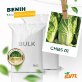 BULK 1kg – sawi box F1 (CHBS 01) - PT. Indoseed Agri Makmur