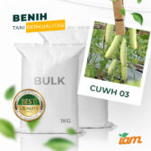 BULK 1kg – white timun F1 (CUWH 02) - PT. Indoseed Agri Makmur