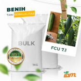 BULK 1kg – timun F1 (FCU 7.1) - PT. Indoseed Agri Makmur