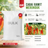 BULK 1kg – cabai OP (HP 22) - PT. Indoseed Agri Makmur