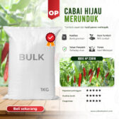 BULK 1kg – cabai OP (HP 23018) - PT. Indoseed Agri Makmur