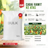 BULK 1kg – cabai OP (HP 51) - PT. Indoseed Agri Makmur